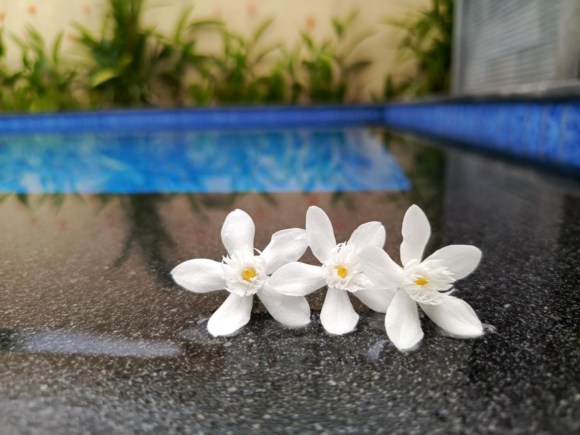 Zavana Rooms & Restaurant Tanjungkarang Экстерьер фото